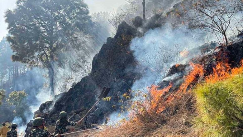 पाल्पाको रिब्दीकोटमा डढेलोबाट चार सामुदायिक वनमा क्षति