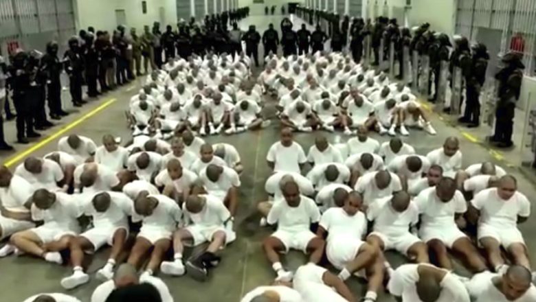 अमेरिकामा रहेका २ सय बढी भेनेजुएलाका आपराधिक गिरोह पक्राउ