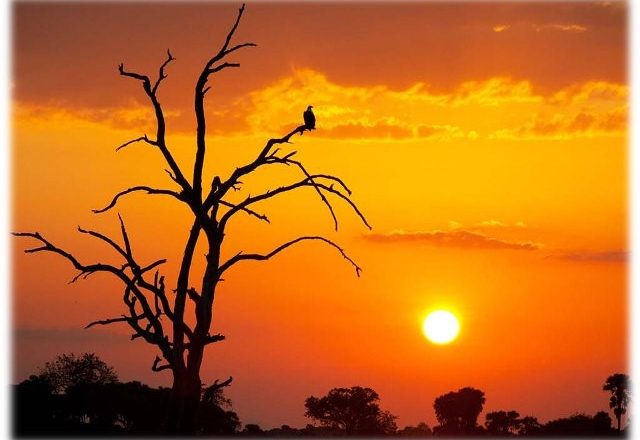 आजदेखि नयाँ वर्ष सुरु, विभिद कार्यक्रमगरी मनाइदै