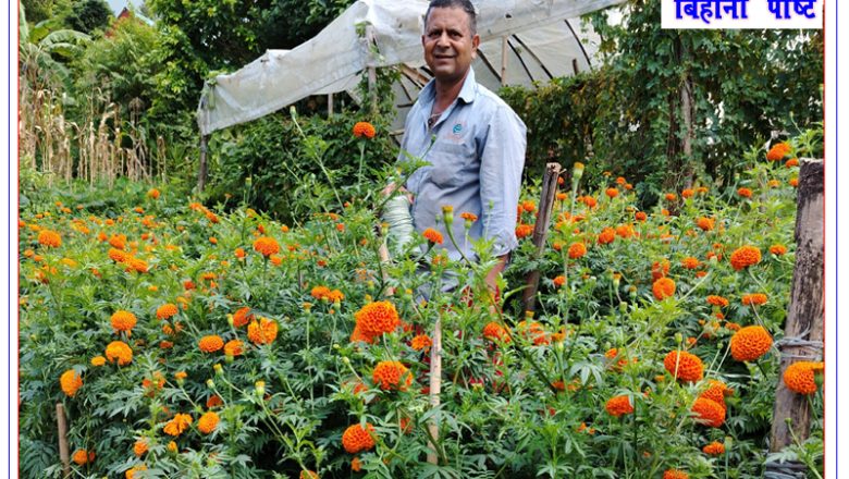 फुलसँगै फुलेको सपना