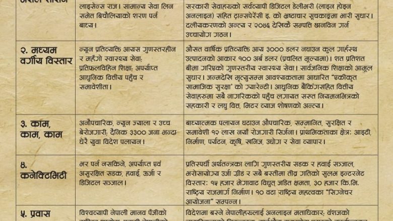 राष्ट्रिय स्वतन्त्र पार्टीको ५ वर्षे लक्ष्य सार्वजनिक