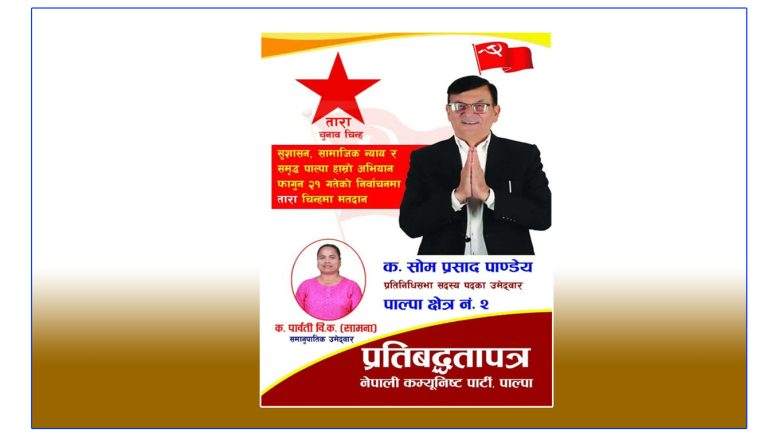 पाल्पा-२ : पाण्डेय र विक मतदाता भेटघाटमा व्यस्त